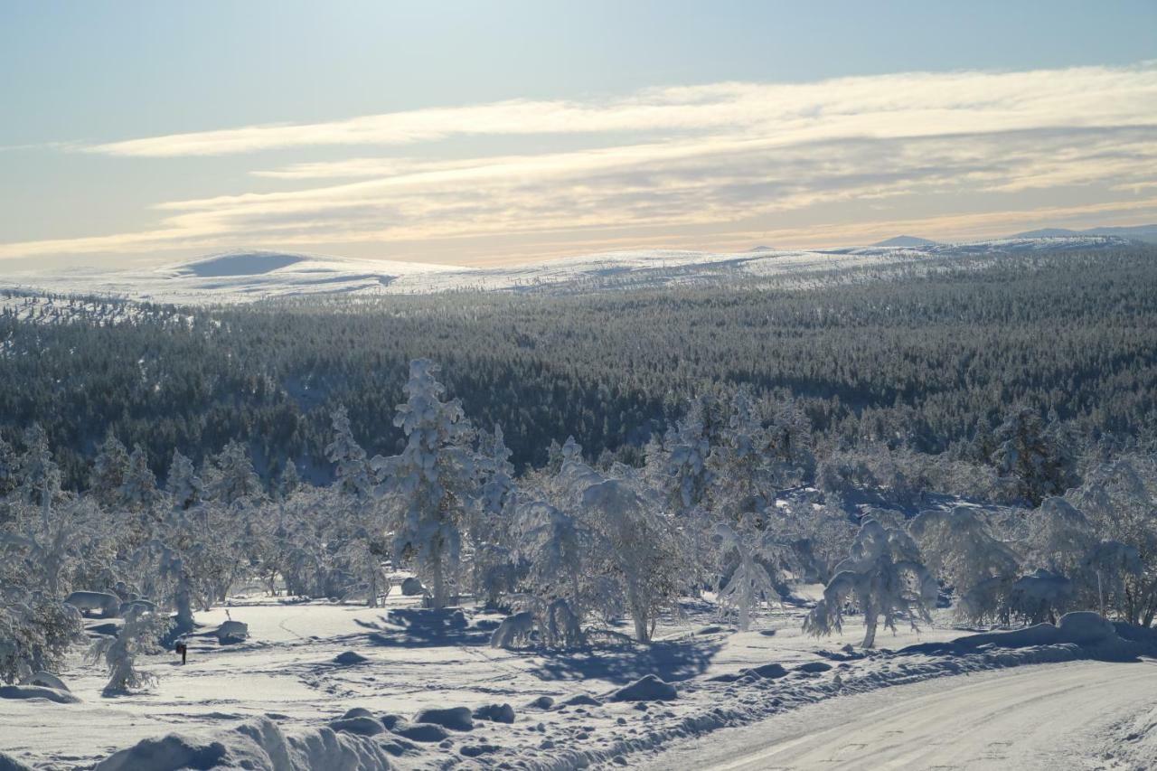 Polaris Homes For You Rovaniemi Exterior foto